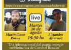 Se organiza una charla por Instagram por el Día Internacional del Puma, especie emblemática de Coronel Rosales
