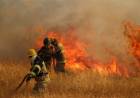 Recomendaciones de Protección Ciudadana para la prevención de incendios forestales
