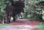 No pueden establecer precios fijos para alquileres de casas de Pehuen Co