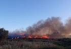Puerto Belgrano: El incendio en Baterías ya se encuentra controlado