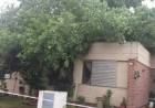 Un árbol cayó sobre una vivienda y no hubo heridos que lamentar