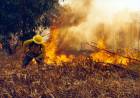 Consejos de Protección Ciudadana para prevención de incendios  