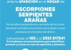 Consejos de Protección Ciudadana ante aparición de serpientes, arañas o escorpiones