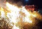 Varios incendios forestales se registraron en menos de 48 horas en Coronel Rosales
