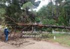 Pehuen Co se encuentra sin servicio eléctrico debido al temporal sufrido en la madrugada