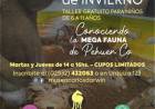 El Museo Municipal Darwin dictará talleres para niños en vacaciones de invierno