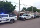 En un allanamiento se secuestraron 10 plantas de marihuana