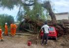 Desde Rescatistas Punta Alta salieron a ayudar a los afectados por el temporal
