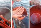 Derrame en la ría: La Empresa Oil Tanking emitió un comunicado