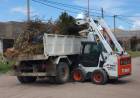 El Municipio de Coronel Rosales realizó tareas de limpieza en la Nueva Bahía