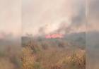 Bomberos Voluntarios de Punta Alta y Pehuen Co prestan colaboración en Monte Hermoso