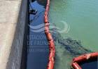 Denuncian un nuevo derrame de hidrocarburos en la ría