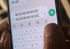Se propone crear un programa para prevenir ciberdelitos 