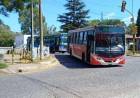 "Tenemos una situación casi terminal en el transporte puntaltense"
