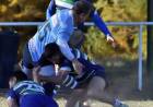Rugby: Se jugó la fecha 3 del Torneo Clausura Desarrollo 2024