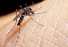 El 80 por ciento las obras sociales no cubre la vacuna contra el dengue