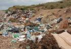 Se declaró la emergencia ambiental en basurales de Coronel Rosales