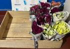 Demoraron a dos vendedores ambulantes en nuestra ciudad