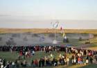Se realizó la jornada de puertas abiertas en la Base Baterías