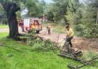 Bomberos Voluntarios de Pehuen Co brindaron asistencia a la comunidad tras la tormenta