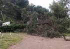 Los vientos fuertes ocasionaron daños en Pehuen Co y Arroyo Pareja