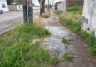 Denuncian pérdidas de agua potable desde hace meses