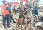 Un perro de rescate de la Armada Argentina encontró a dos nenes con vida en Venezuela
