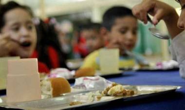 "Lo que destina la Provincia no alcanza para cubrir los nutrientes necesarios", dijeron sobre los comedores escolares