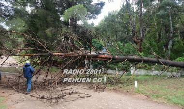 Pehuen Co se encuentra sin servicio eléctrico debido al temporal sufrido en la madrugada