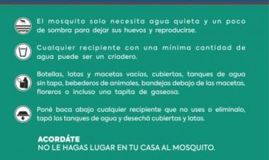 Protección Ciudadana continúa un intenso trabajo para controlar presencia de mosquito Aedes