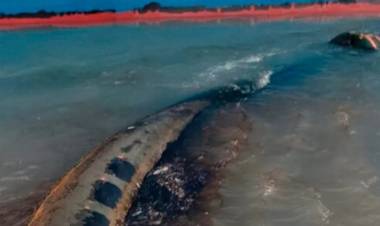 Derrame de petróleo: Ambiente levantó la suspensión a la empresa Oiltanking