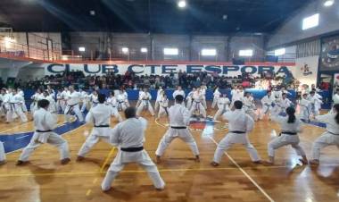Punta Alta fue sede un histórico encuentro regional de Karate