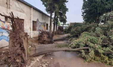 Se cumple un año del temporal más devastador que se recuerde en el distrito