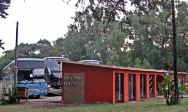Horarios y tarifas de los colectivos a Pehuen Co y Monte Hermoso para este verano 2025