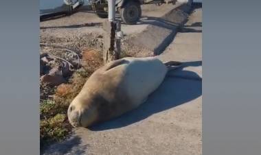 La primera visita del 2025 al Club Náutico Punta Alta en Villa del Mar