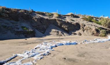 Dr. Perillo: “Con el murallón de piedras, la playa se va a erosionar mucho más rápido en Pehuen Co”