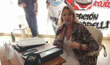 El bloque unitario del PRO pidió la suspensión de las PASO