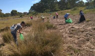 El próximo sábado habrá una nueva jornada de limpieza en los humedales
