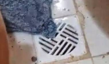 “Ya no se puede vivir así, nos desborda la materia fecal por todos lados” afirmó una vecina de Jujuy al 400