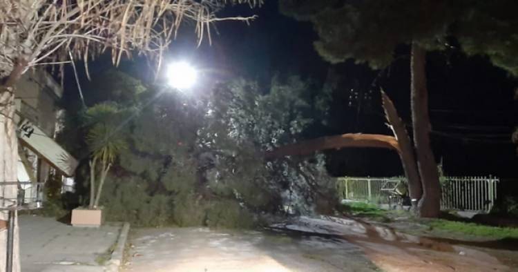 Alerta Meteorológica por fuertes vientos para este jueves y viernes en Coronel Rosales