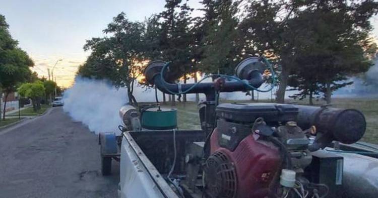Desde este lunes retoman las tareas de fumigación contra el dengue en Coronel Rosales