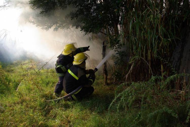 Se realiza una campaña en beneficio de los Bomberos Voluntarios