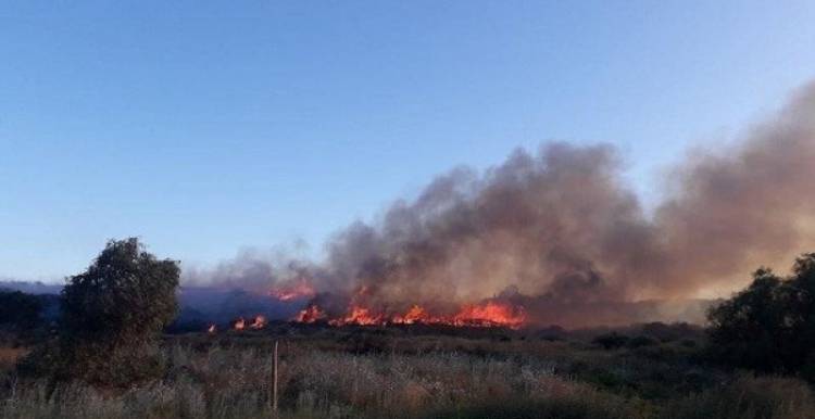 Puerto Belgrano: El incendio en Baterías ya se encuentra controlado