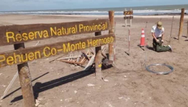 Pehuen Co: Cortaron el alambrado que protege el yacimiento de huellas fósiles