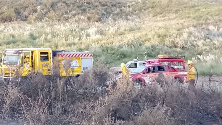 Bomberos de Pehuen Co prestaron apoyo en un incendio que arrasó unas 50 hectáreas de campo en Monte Hermoso