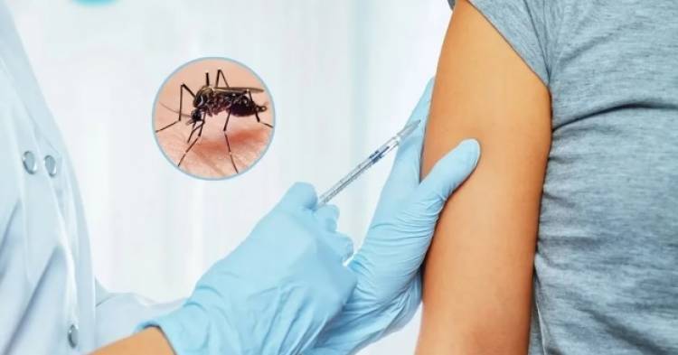 La Anmat aprobó el uso de una vacuna contra el dengue