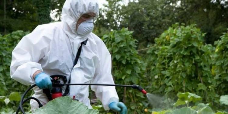 Por el momento se registran 5 casos de dengue en Coronel Rosales