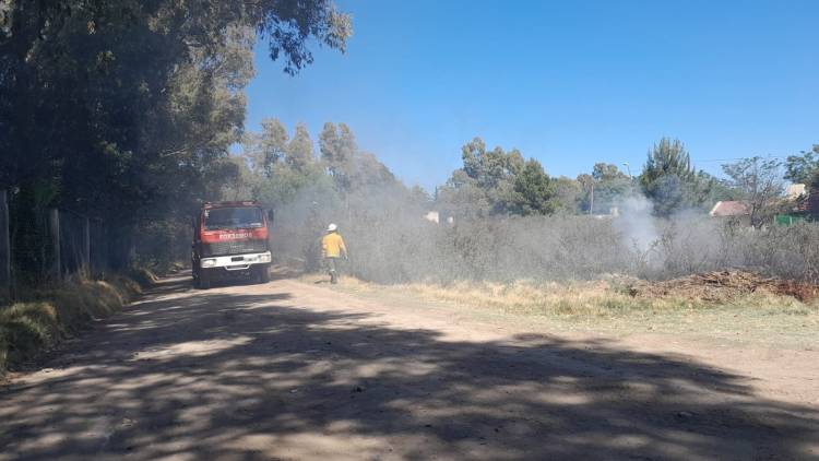 La sequía, el viento y altas temperaturas generan incendios forestales en Coronel Rosales