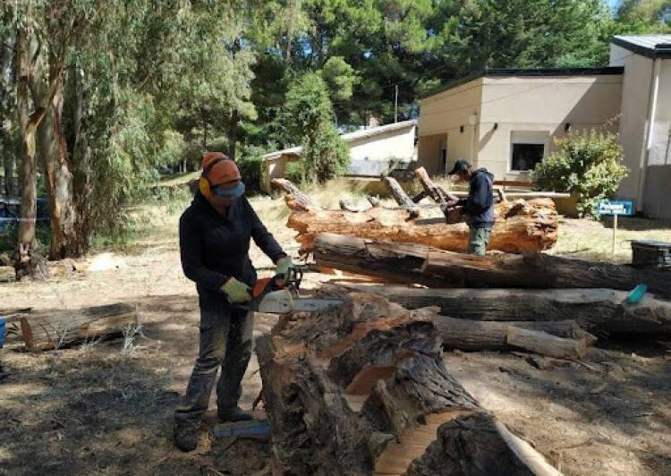 Este viernes comienza el Encuentro Nacional de Escultura en Pehuen Co