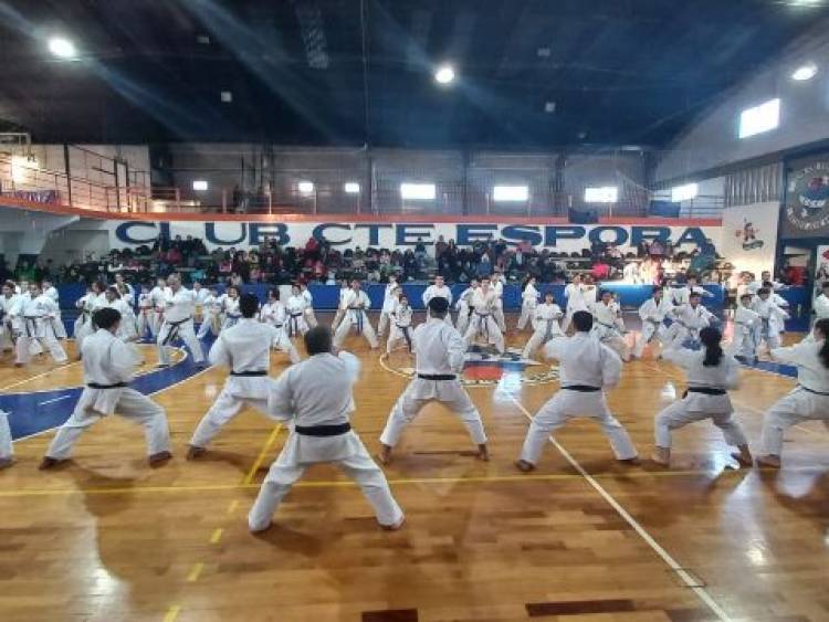 Punta Alta fue sede un histórico encuentro regional de Karate